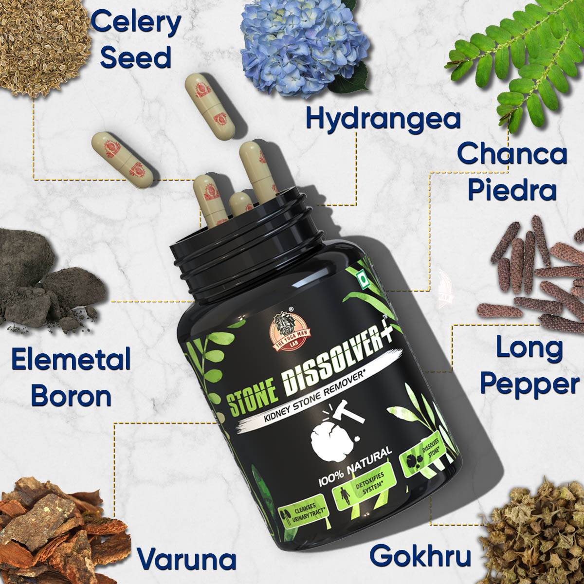 Suplemento Renal   100% Natural