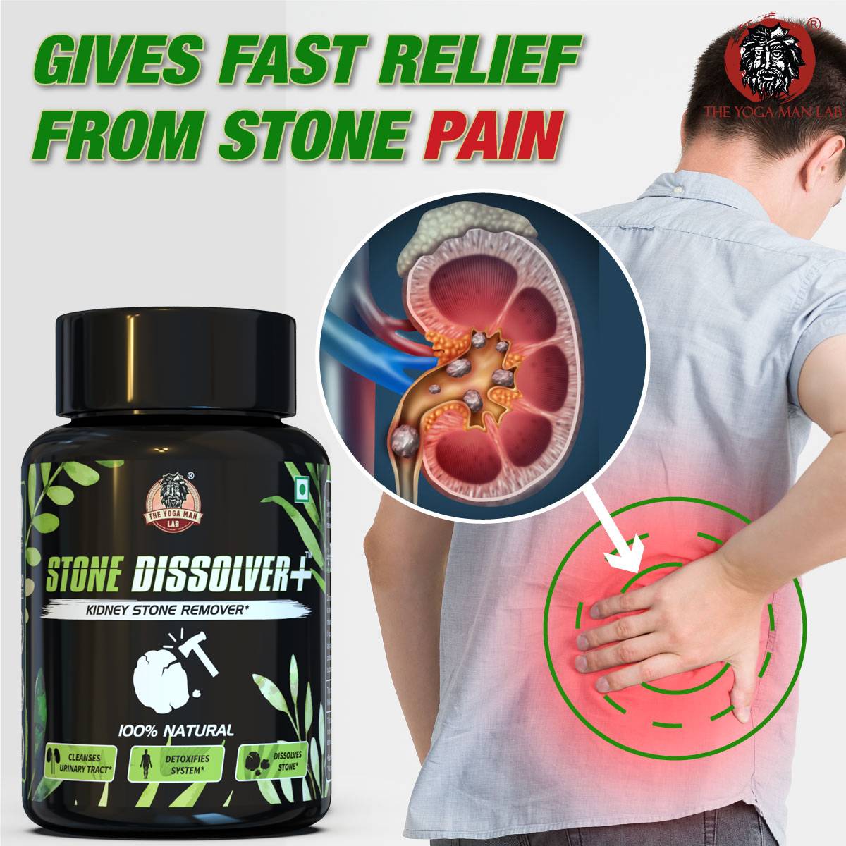 Suplemento Renal   100% Natural
